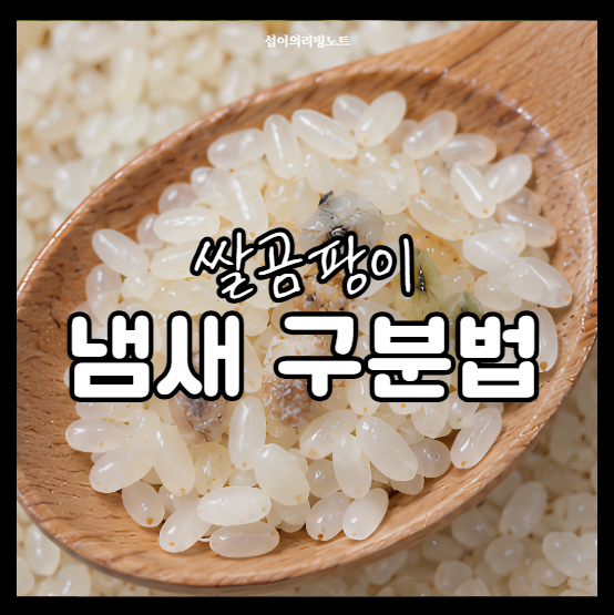 쌀 곰팡이 구분법 냄새 쌀뜨물 먹으면 증상 쌀 보관방법