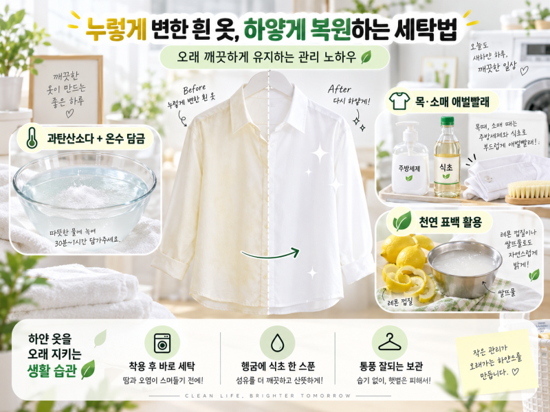 누렇게 변한 흰 옷 하얗게 되살리는 법! 과탄산소다 하나로 찌든 때 100% 빼는 세탁 꿀팁