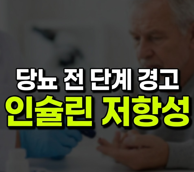 인슐린 저항성 뜻 원인 및 증상, 개선 방법 총정리(+마운자로)