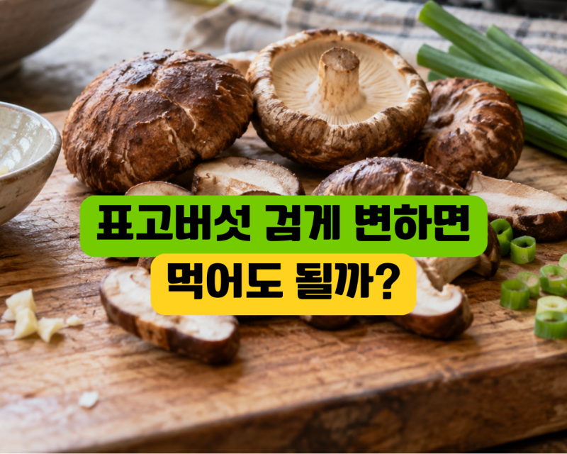 표고버섯 제철 시기 언제일까? 검게 변하면 먹어도 될까, 냉장 냉동 오래 보관법
