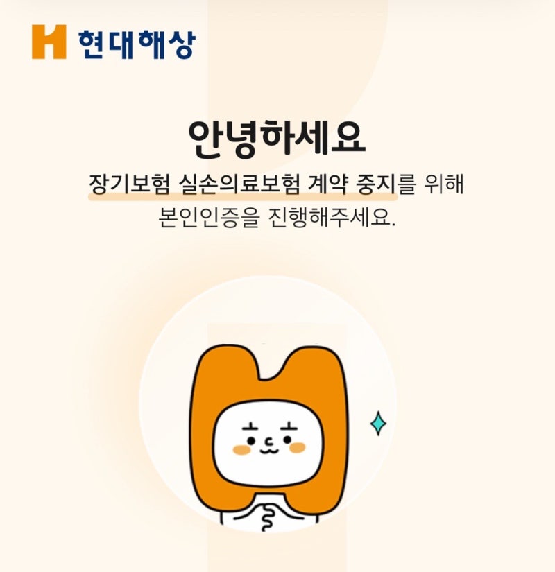 실손보험 중지해도 될까? 5년 넘게 유지한 개인실손, 결국 이렇게 했습니다