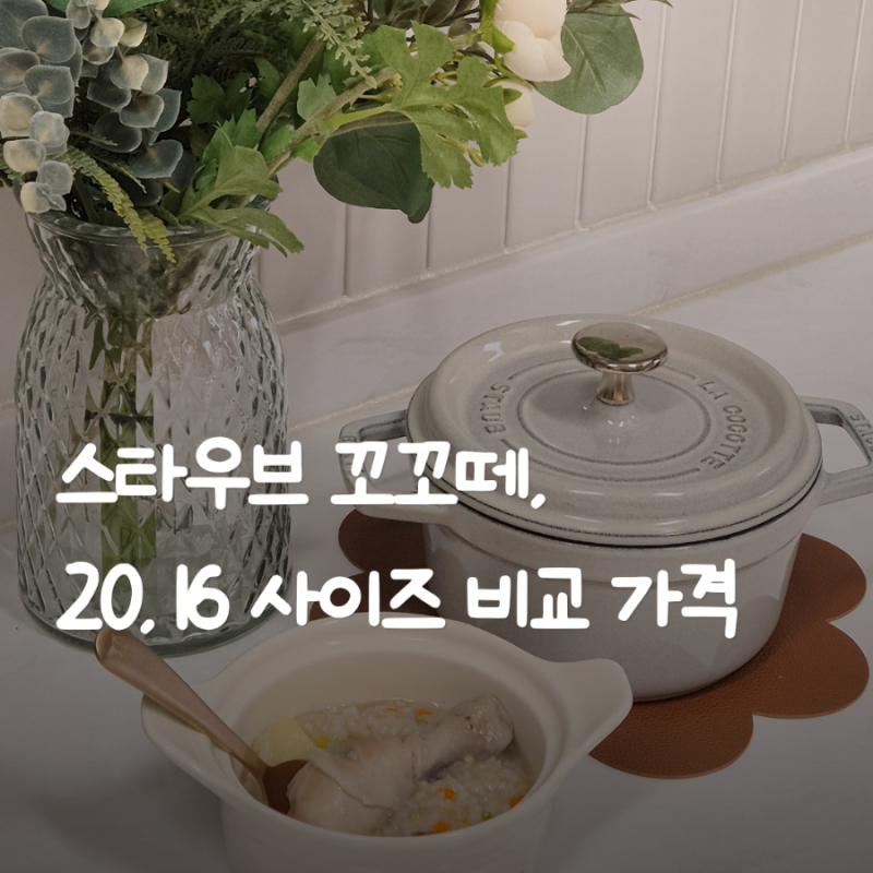스타우브 꼬꼬떼 16, 20 비교! 3인가족 직접 쓰며 남기는 후기