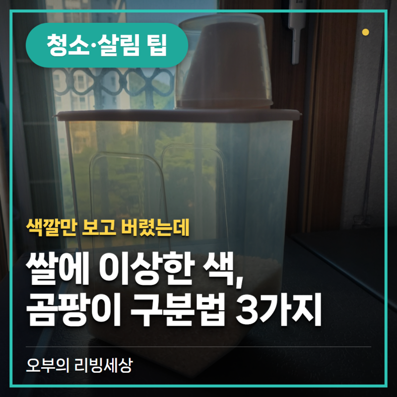 쌀에 이상한 색 보이면 다 곰팡이인가요? (구분하는 법 3가지)