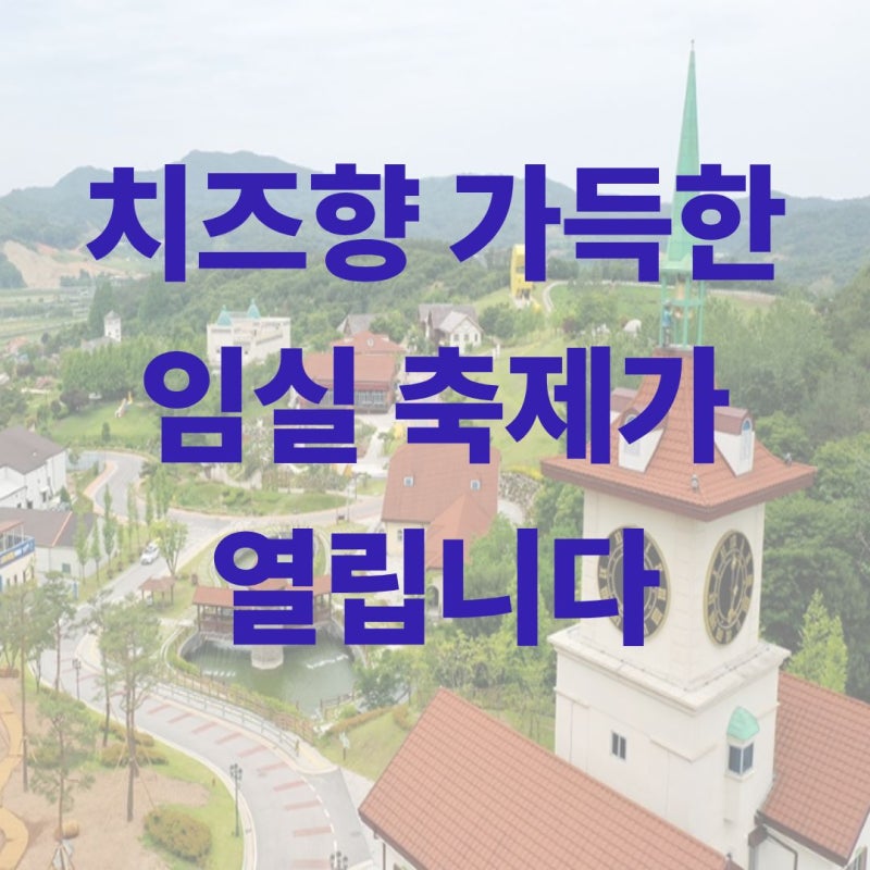 임실치즈축제 피자만들기·치즈늘리기 (숙소·셔틀버스까지)