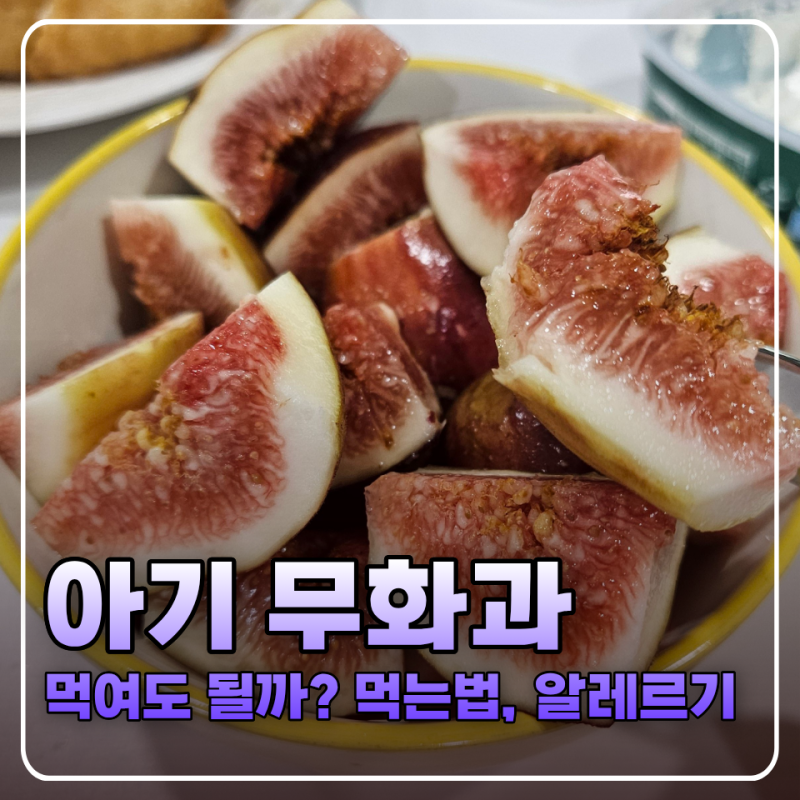아기 무화과 언제부터 먹여도 될까? 먹는법, 알레르기 주의, 손질법