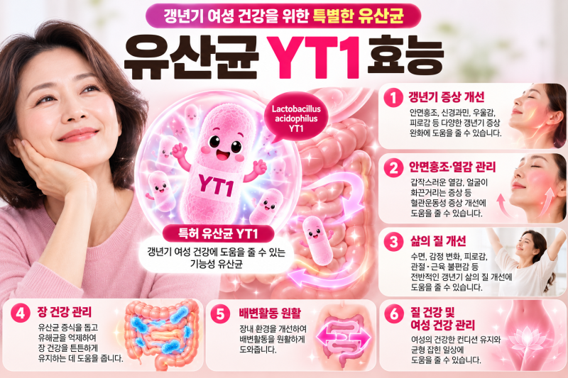 유산균 YT1 효능 5가지, 갱년기 여성들이 챙겨 먹는 이유