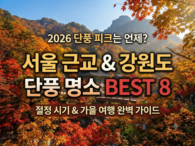 2026 단풍 피크는 언제? 서울 근교 & 강원도 단풍 명소 Best 8
