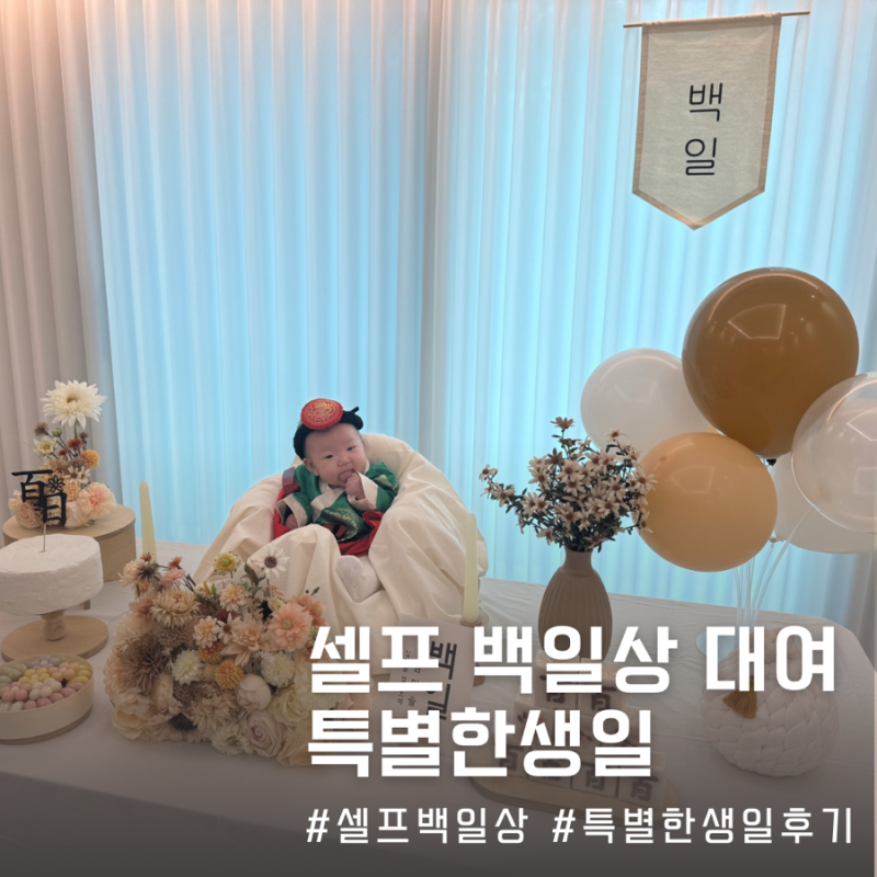 셀프 백일상 대여 범보의자 추천 100일 상차림 업체 특별한생일