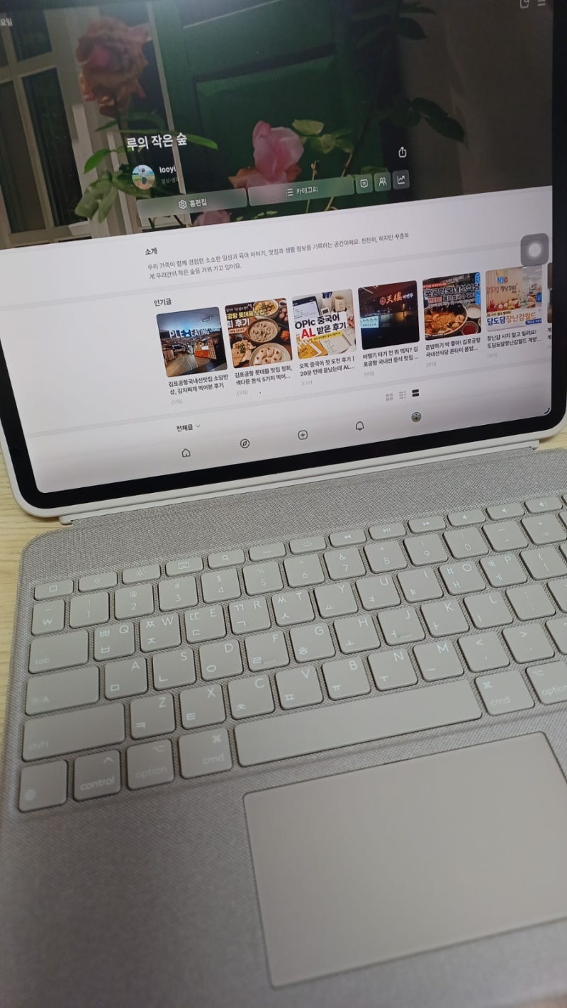 로지텍 콤보터치 아이패드 프로 12.9 키보드 케이스, 4세대 사용 후기