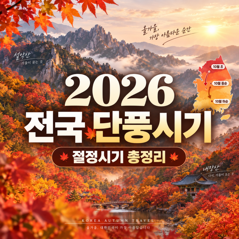 2026 전국 단풍 절정시기 총정리! 설악산·북한산·내장산·지리산 단풍 명소 BEST