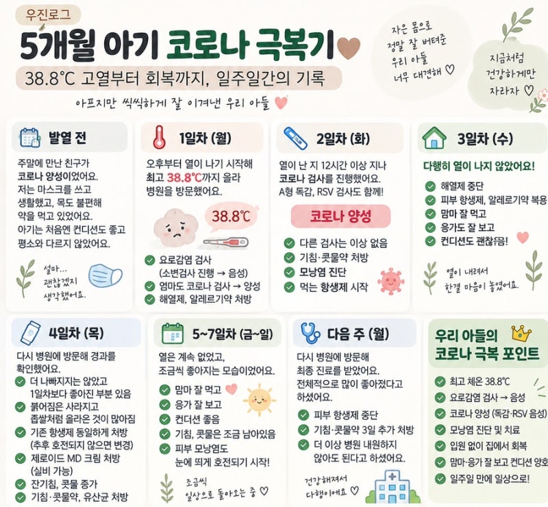 5개월 아기 코로나 확진｜38.8℃ 고열부터 회복까지, 입원없이 코로나 극복기