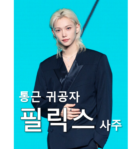 필릭스 사주_스트레이키즈 필릭스 사주풀이