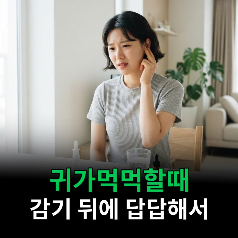 귀가먹먹할때 감기 뒤에 계속 답답해서 찾아봤어요