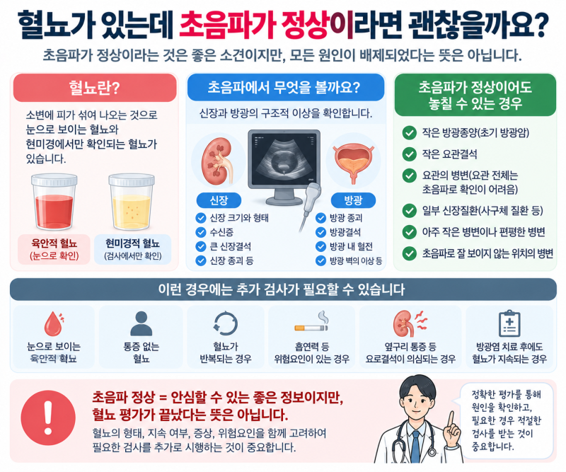 혈뇨가 있는데 초음파가 정상이라면 괜찮을까요?