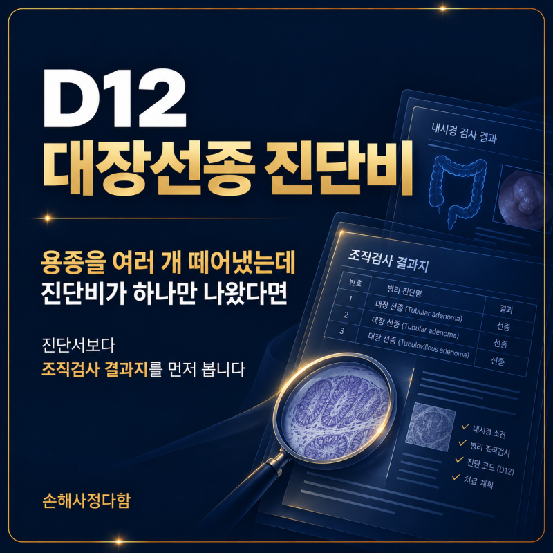 D12 대장선종, 용종을 여러 개 떼어냈는데 진단비가 하나만 나왔다면