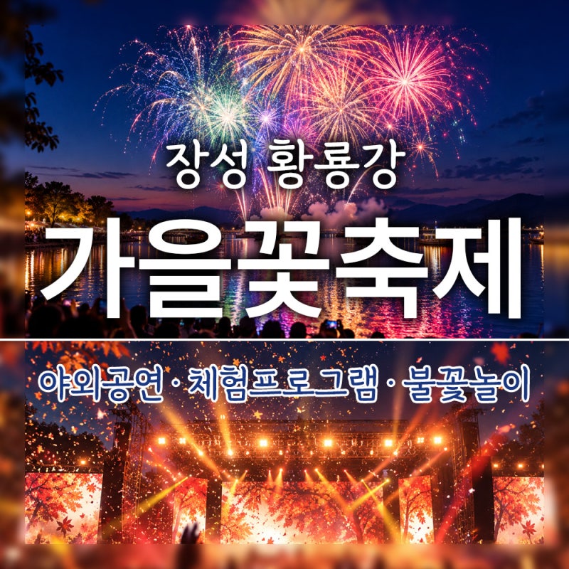 10월 전남 가볼만한곳｜2026 장성 황룡강 가을꽃축제 완벽 가이드