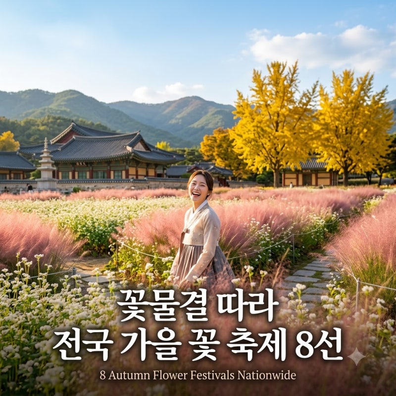 알록달록 오색 빛깔 가을 낭만! 2026 전국 가을 꽃 축제 1탄 완벽 가이드