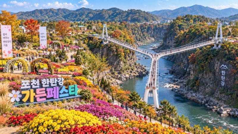 국내 최대 규모 억새와 꽃밭? 2026 포천 한탄강 가든페스타 축제 일정 & 관람 팁