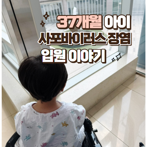 37개월 아기 사포바이러스 장염 입원 후기 (인천국제성모병원 응급실)