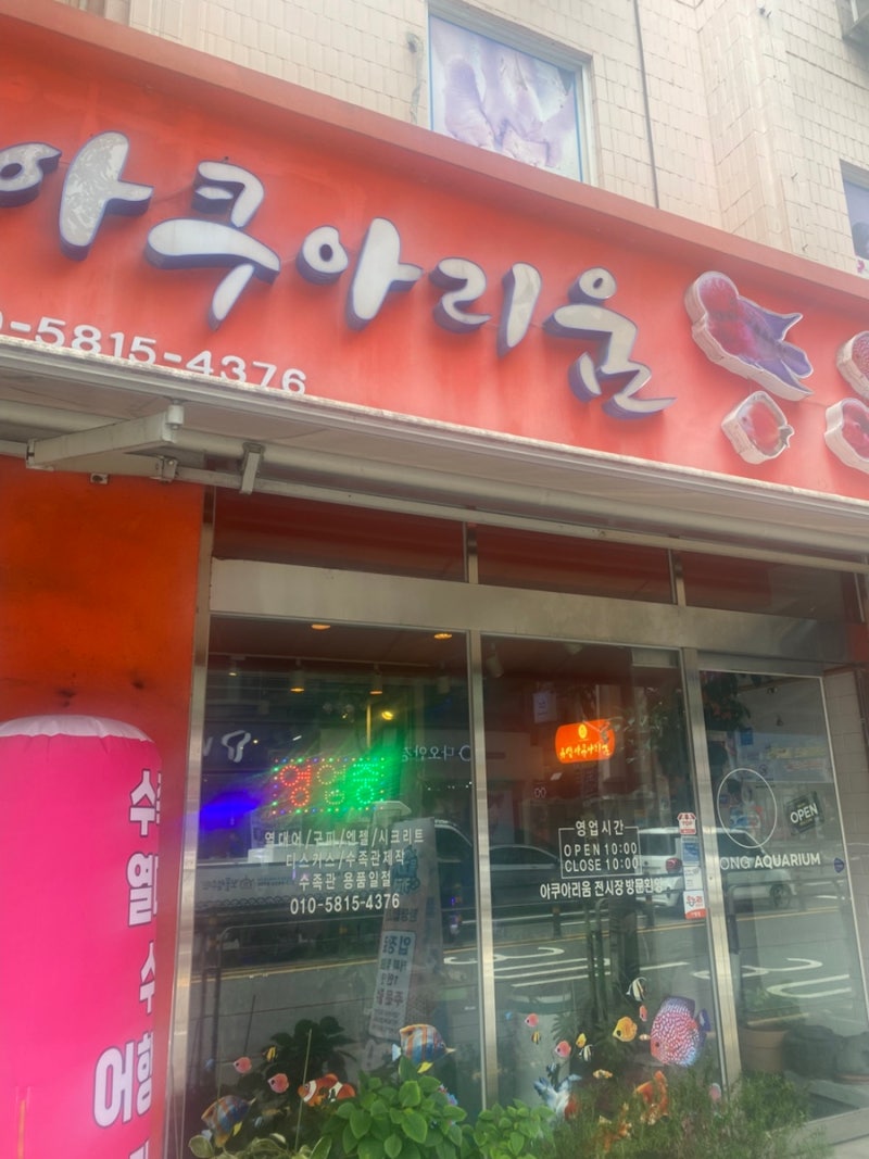 [일상기록] 대전이색카페 유성수족관 감성까지 제대로 느낄 수 있는 무인카페! 유성아쿠아리....