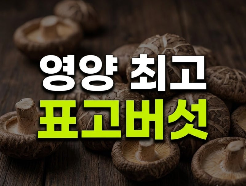 표고버섯, 그냥 먹지 마세요! 효능·영양성분부터 손질·보관법까지