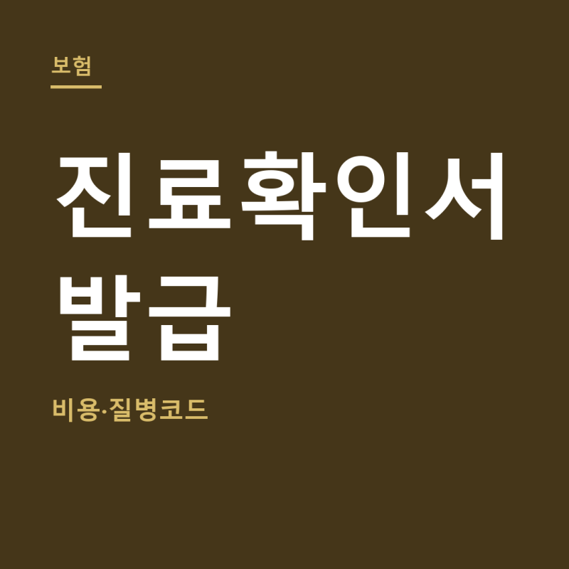 진료확인서 발급 총정리 (+비용, 질병코드)