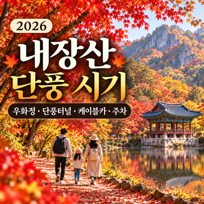 2026 내장산 단풍 시기｜첫 단풍·절정 예상일, 우화정·단풍터널 가족여행 코스·케이블카·주....