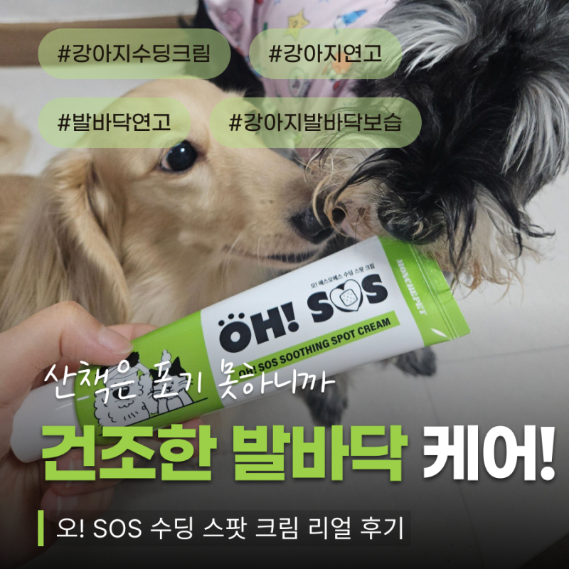 강아지 발바닥연고 산책 후 건조해진 발바닥, 수딩크림으로 관리해봤어요