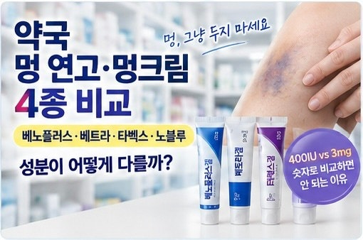 약국 멍 연고·멍크림 비교｜베노플러스겔·베트라겔·타벡스겔·노블루겔 성분과 차이