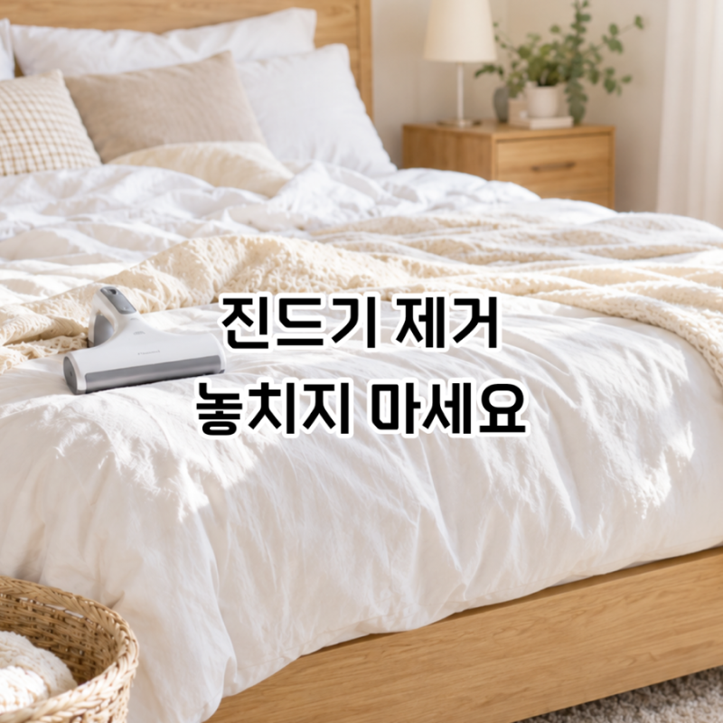 침구 진드기 제거, 이불만 빨고 있었다면 놓친 게 있어요