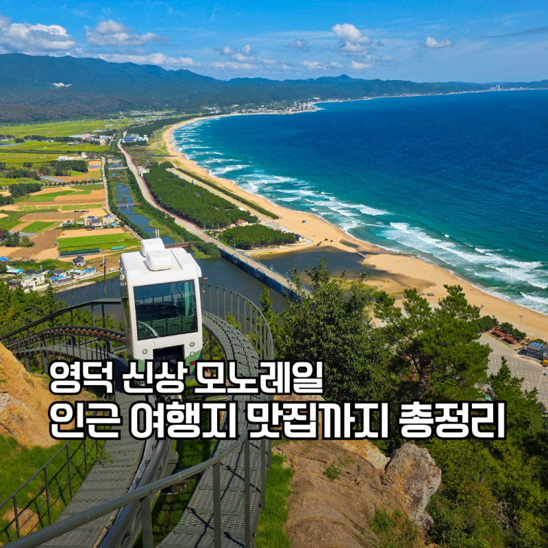 영덕 가볼만한곳 신상 모노레일 여행 코스 인근 여행지 맛집 총정리