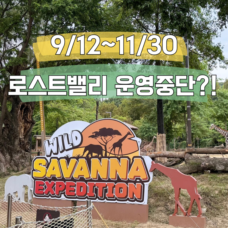 에버랜드 사파리 와일드 사바나 직접 다녀온 후기｜예약·소요시간·유모차까지