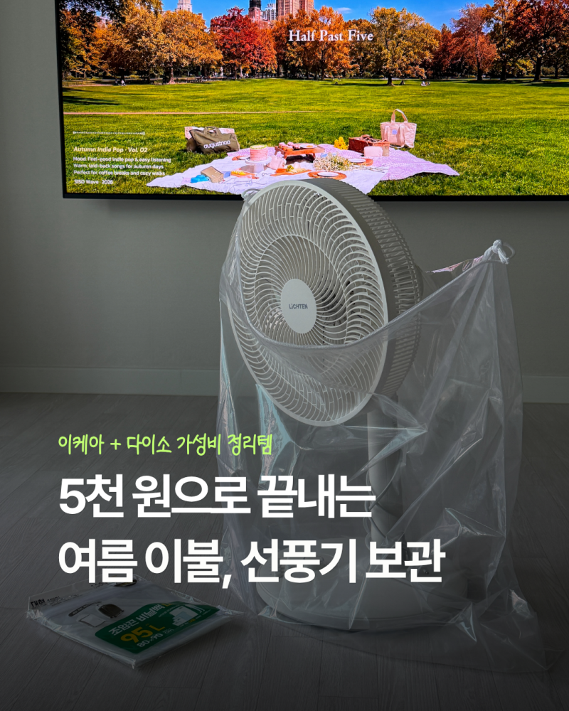 여름용품 정리｜다이소·이케아 가성비템으로 이불과 선풍기 보관하기
