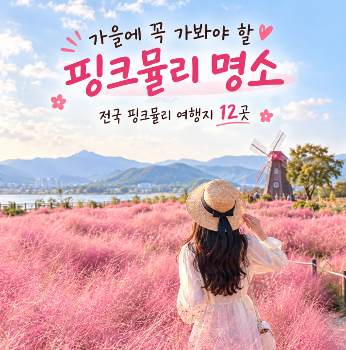 핑크뮬리 전국 명소 BEST 12｜9월 말부터 꼭 가봐야 할 가을 인생샷 명소