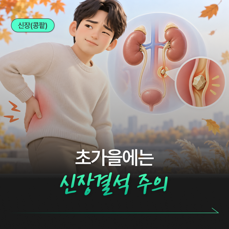 초가을에는 신장결석을 주의하세요‼️