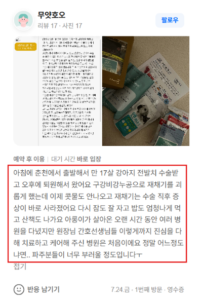강아지치석제거비용, 왜 병원마다 다를까요? (2,000건 마취 수의사의 설명)