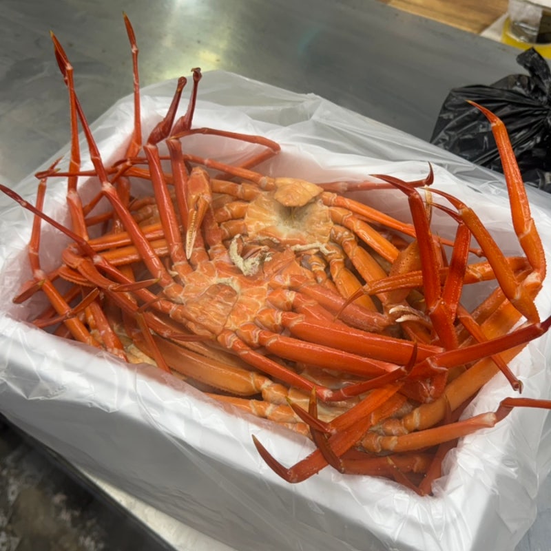 해운대 좌동 맛집 대게 킹크랩 랍스타 추천 홍게 3kg 포장 후기 통큰대게