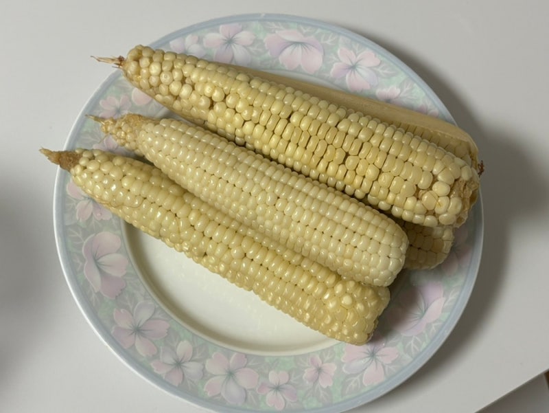 제철 옥수수 뉴슈가 없이 찌는법 찰옥수수 냄비 삶기 레시피