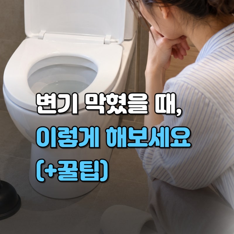 변기뚫는법 막힌 변기 뚫기, 뚫어뻥 없이 샴푸로 집에서 해결하는 방법까지