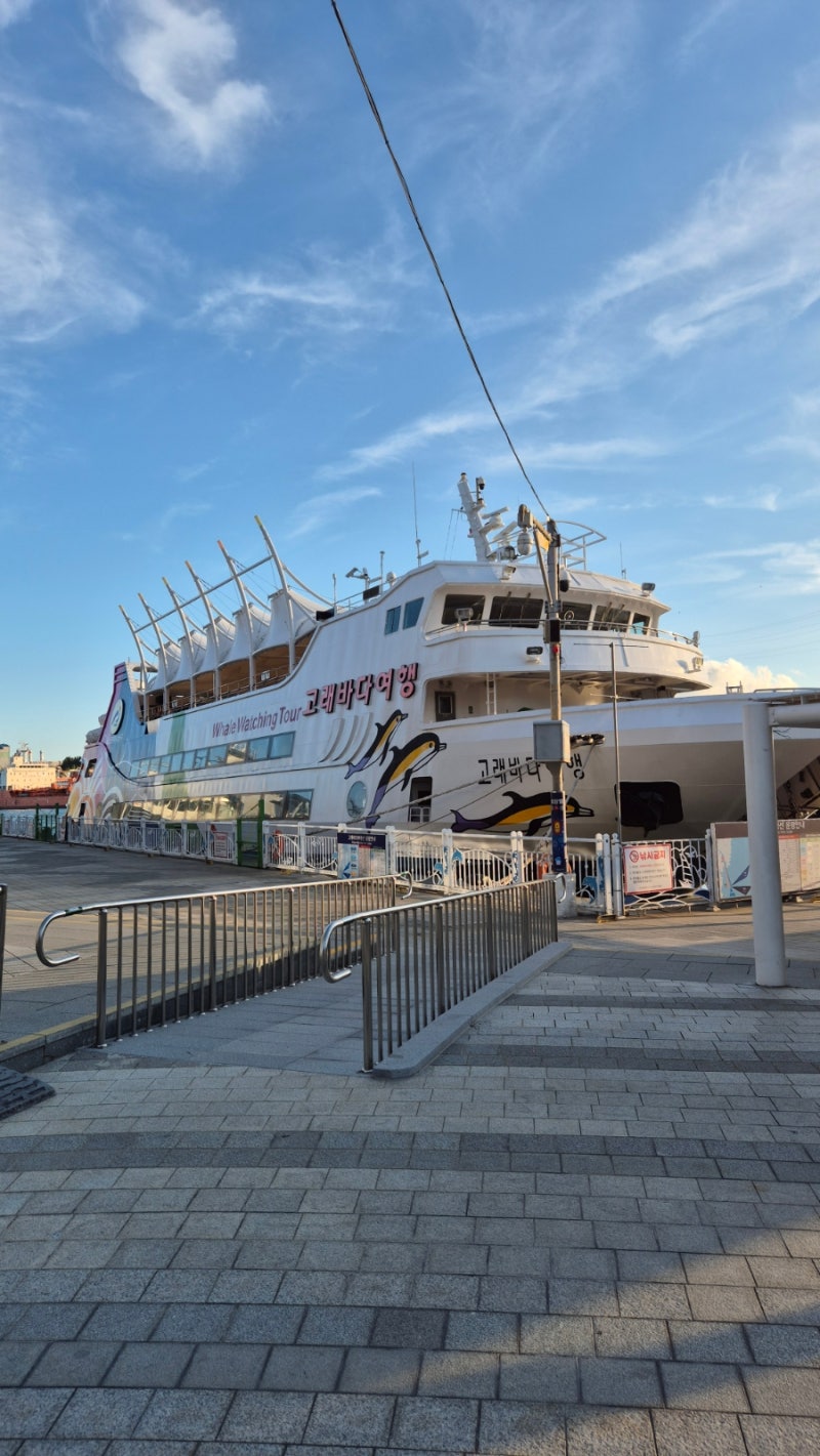Jangsaengpo Whale Ocean Travel Ship – Jangsaengpo Fireworks Show (A Great Place to Visit with Kids in Ulsan)