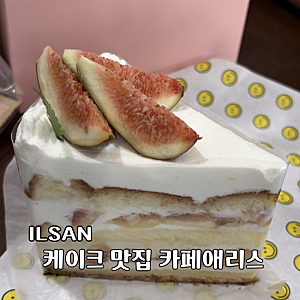 일산 밤리단길 케이크 맛집 카페 애리스 포장 후기
