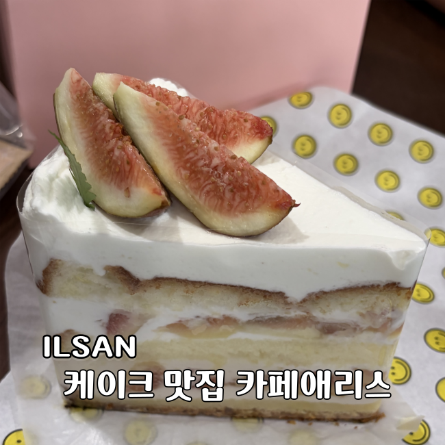 일산 밤리단길 케이크 맛집 카페 애리스 포장 후기