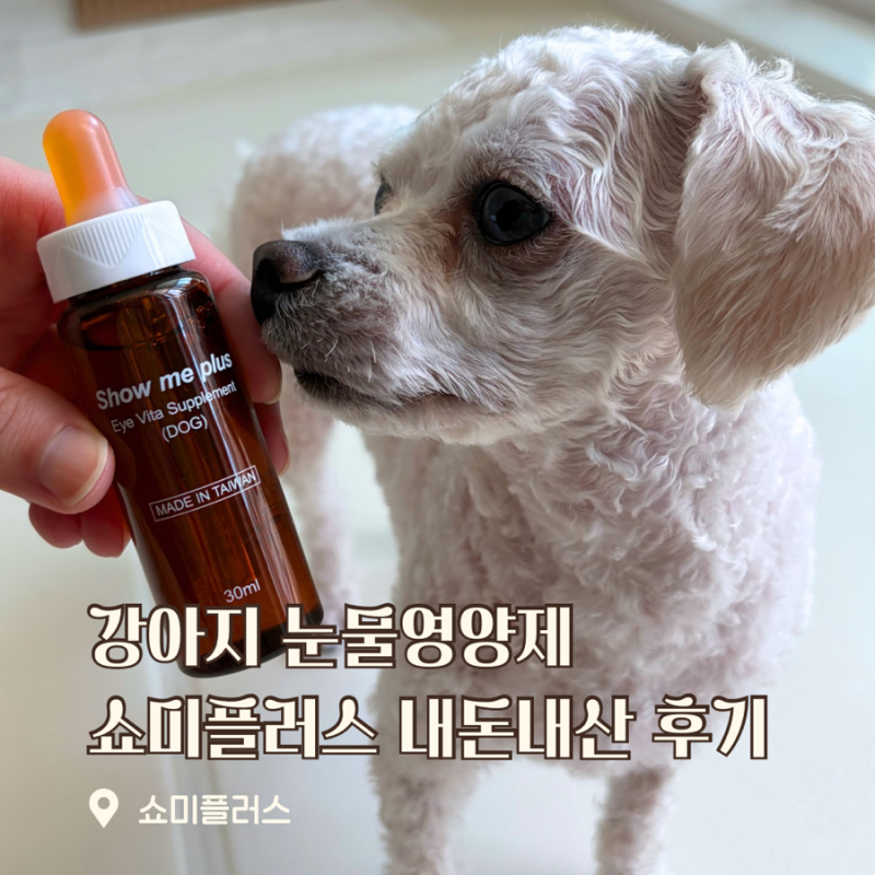강아지 눈물영양제 1티어 쇼미플러스 내돈내산 한달 급여 후기