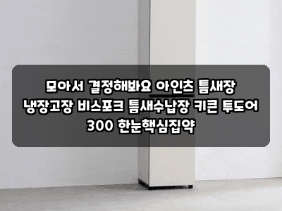 모아서 결정해봐요 아인츠 틈새장 냉장고장 비스포크 틈새수납장 키큰 투도어 300 한눈핵심....