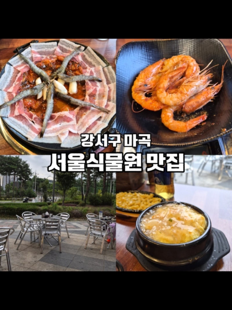 강서구 마곡 서울식물원 맛집 | 양천향교역 쭈꾸미가 맛있는 쭈박사 마곡점 후기