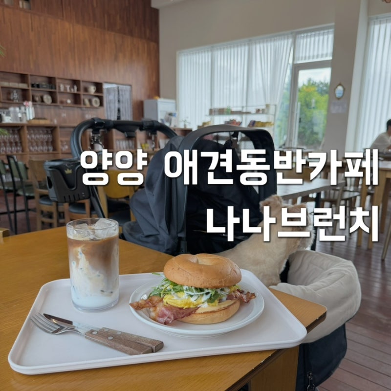 양양 하조대 애견동반카페 브런치카페ㅣ나나브런치