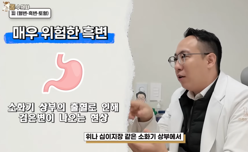 강아지 혈변 이유, 피 색깔과 함께 봐야 할 증상은?