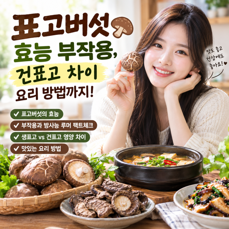 표고버섯 효능 부작용, 건표고 차이 요리 방법까지!