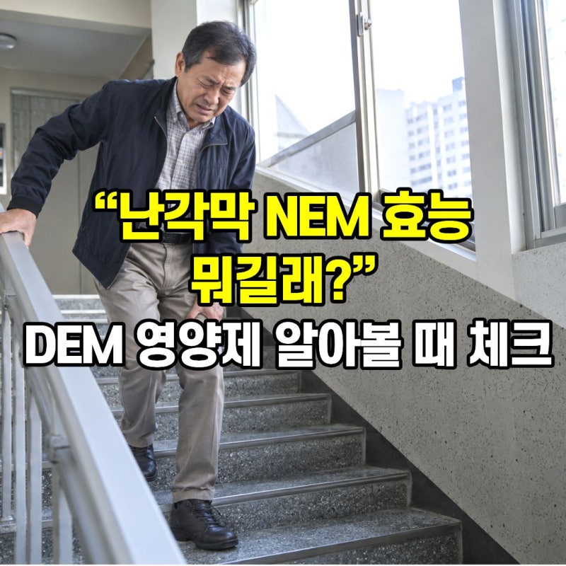 난각막 NEM 효능 뭐길래? DEM 영양제 알아볼 때 체크할 것