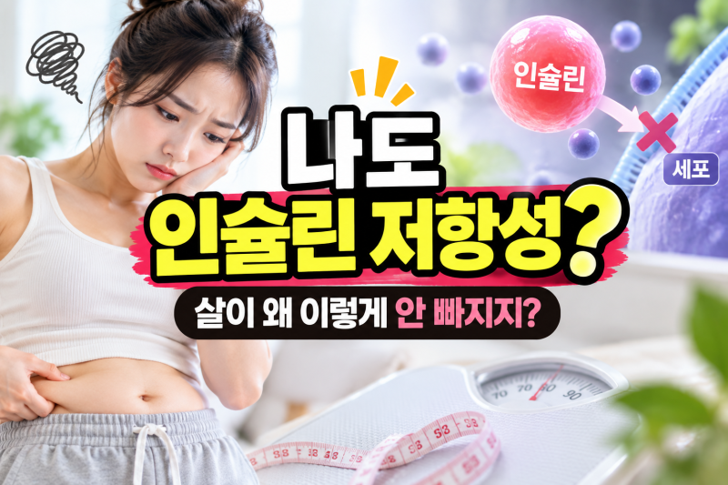 인슐린 저항성 뜻 뭐길래? 증상·검사·다낭성·인슐린 민감성까지